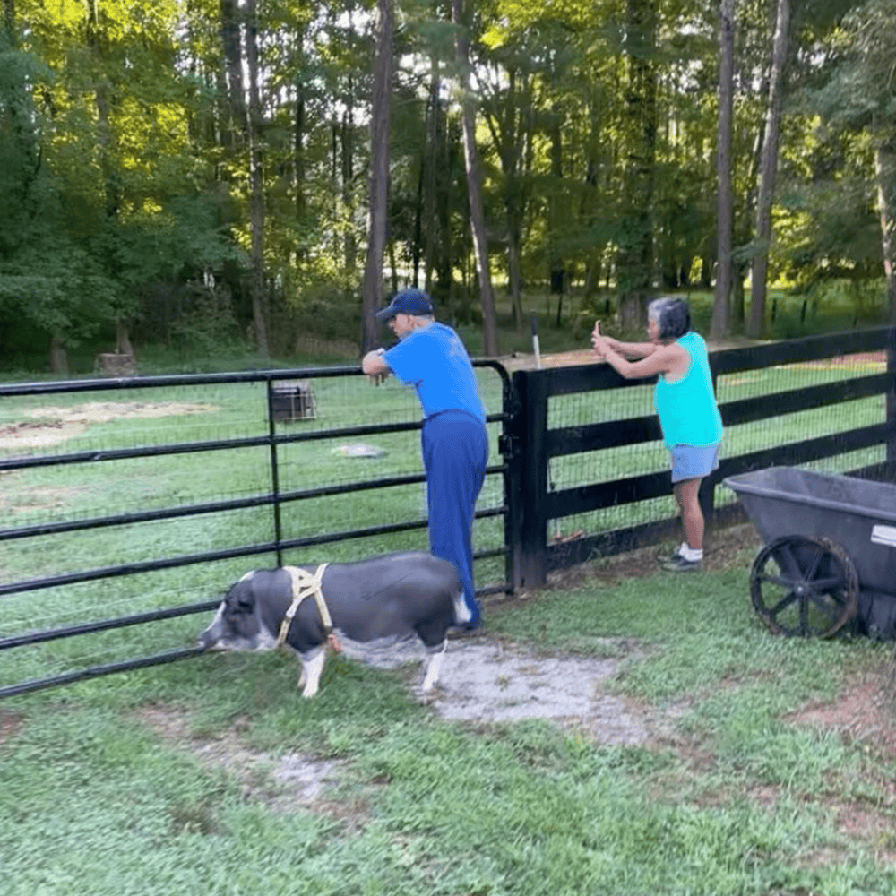 Andrew Teresita and Humphrey the Pig - Joyous Acres